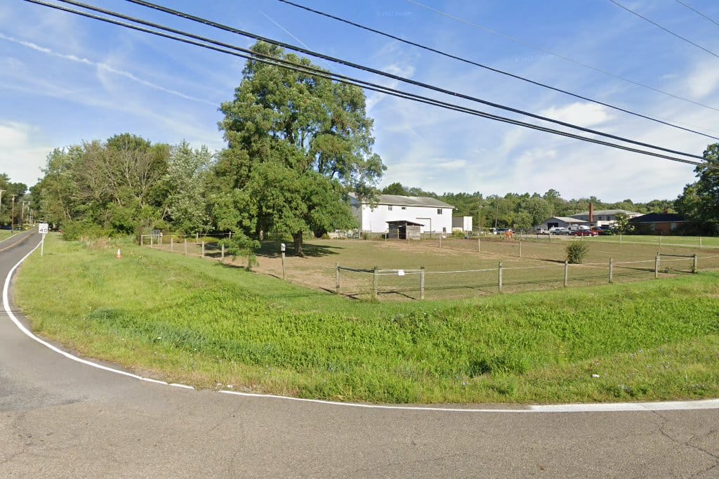 Animal visual data 2