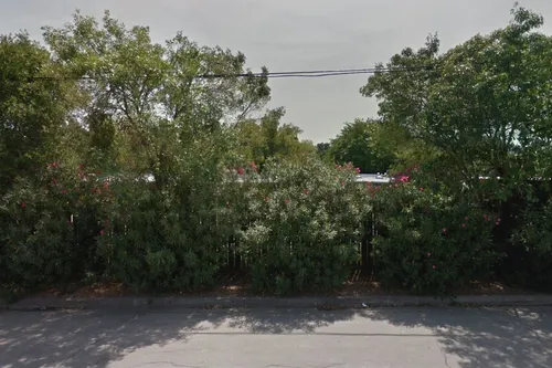 Camellia Waldorf School
