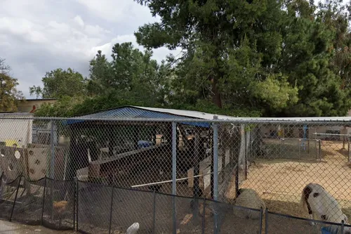 Valley Alternative Magnet School
