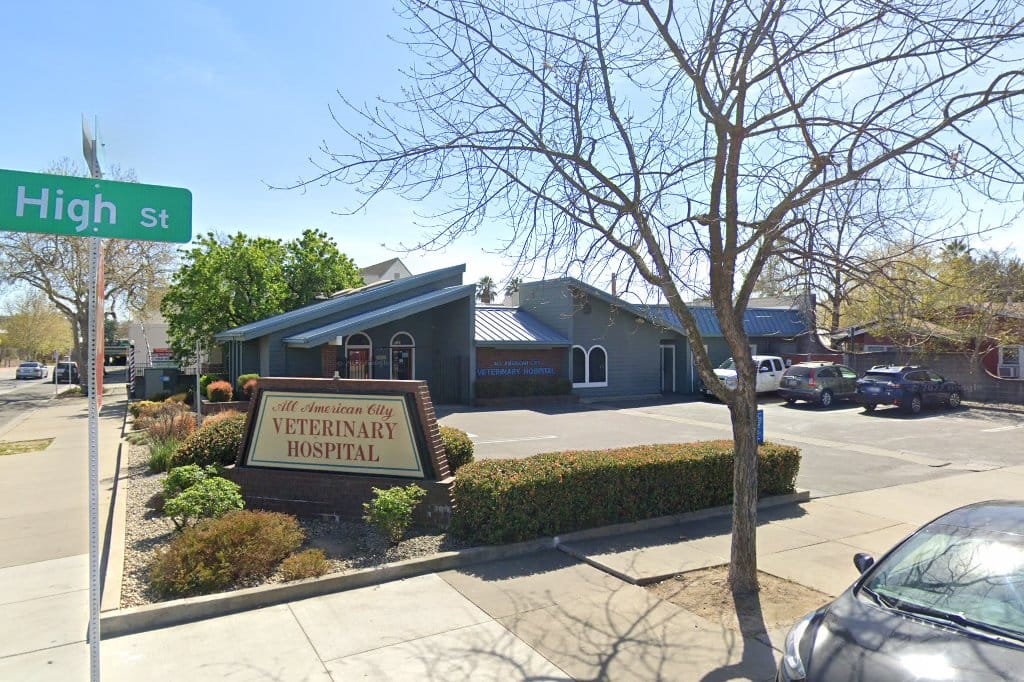All American City Veterinary Hospital