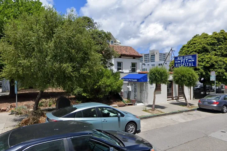Blue Cross Pet Hospital