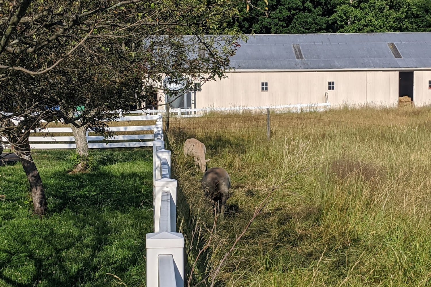 Fox Veterinary Hospital