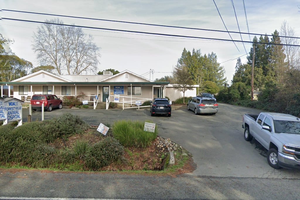 Forestville Veterinary Hospital