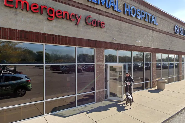 Rascal Animal Hospital