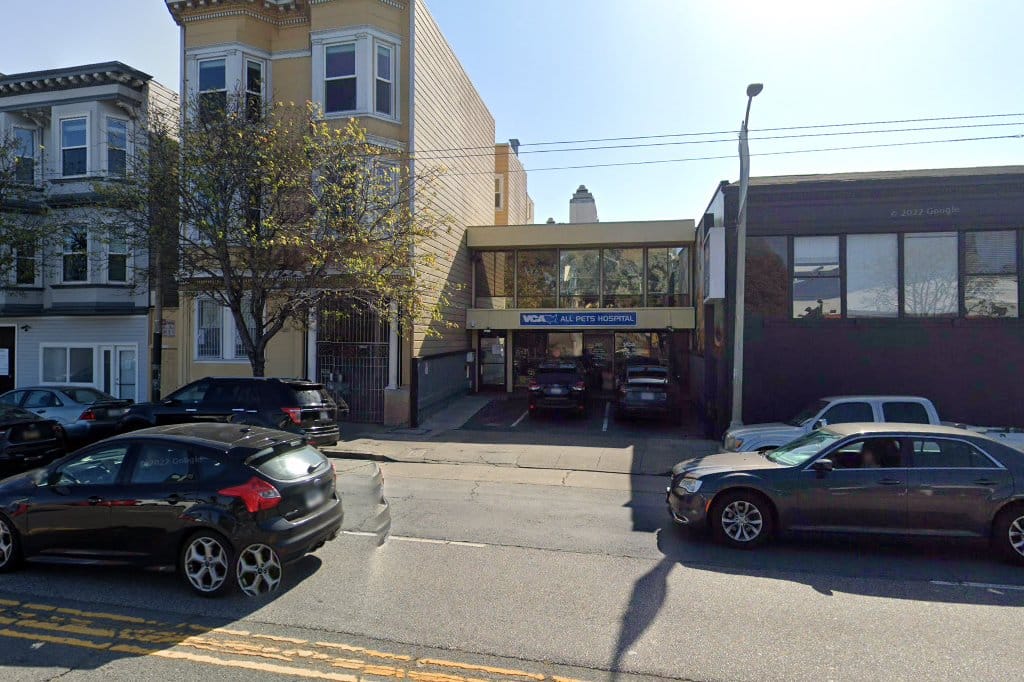 All Pets Hospital