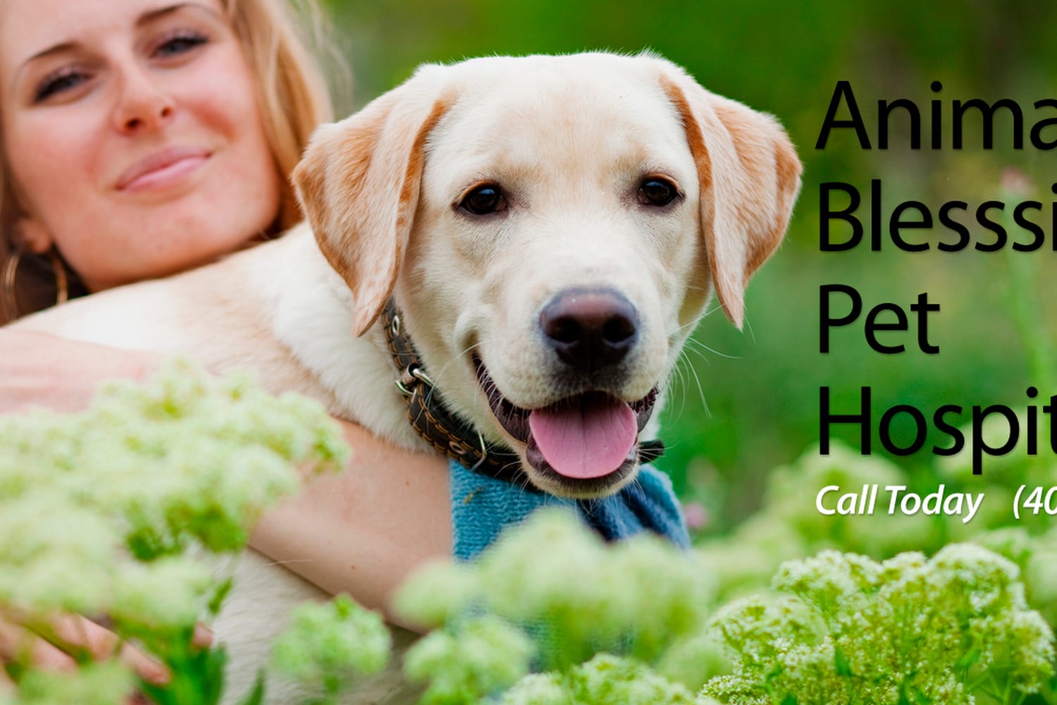 Animal Blessings Pet Hospital