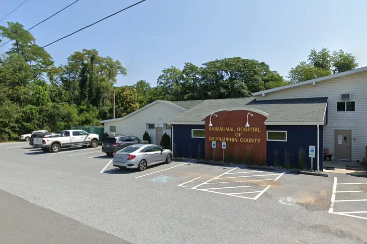 Animal Hospital of Dauphin County