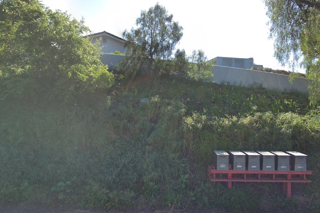 Animal Shelters in Santa Barbara, CA Pets TheCountyOffice