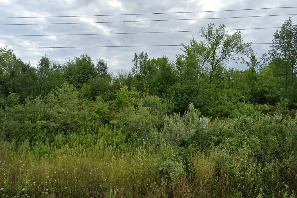 Indian Woods Elementary School
