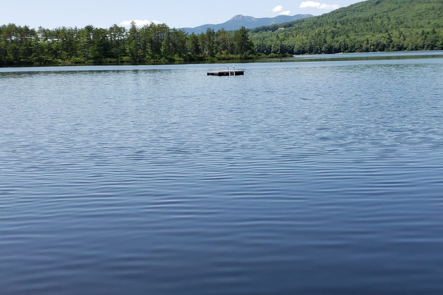 Eastern Slopes Animal Welfare League