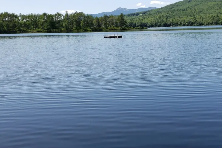 Eastern Slopes Animal Welfare League