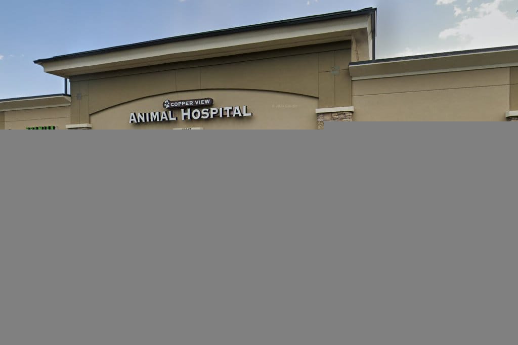 Copper View Animal Hospital