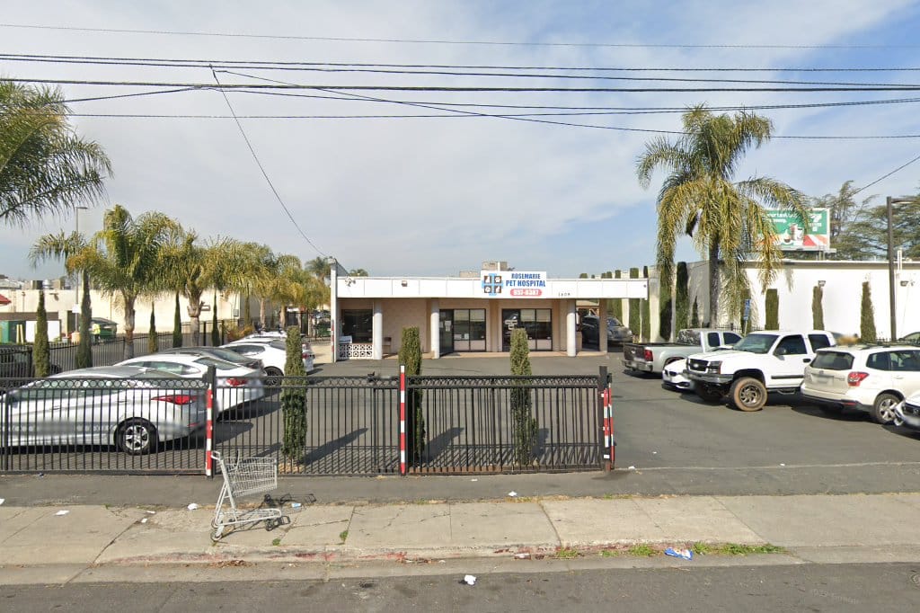 Rosemarie Pet Hospital