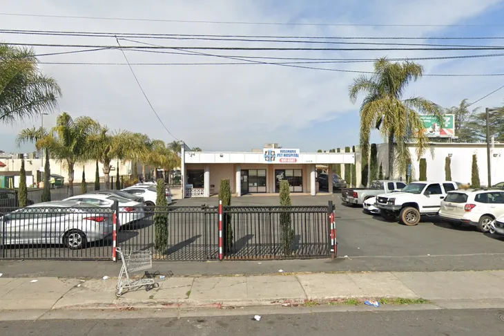 Rosemarie Pet Hospital