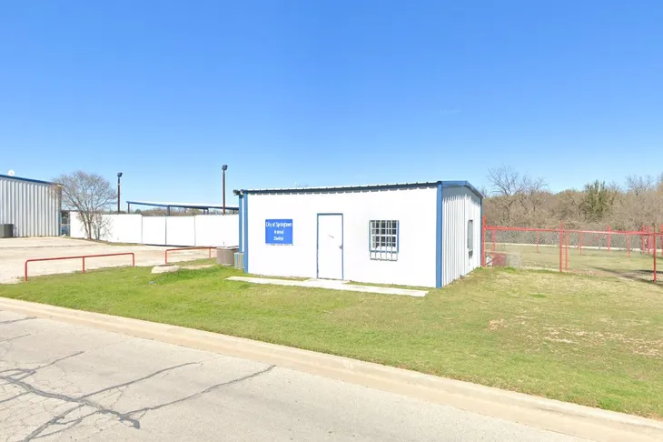 Springtown Animal Control