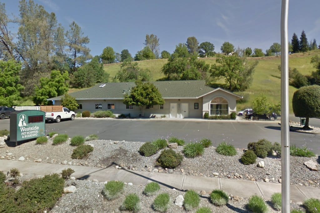Westside Pet Hospital