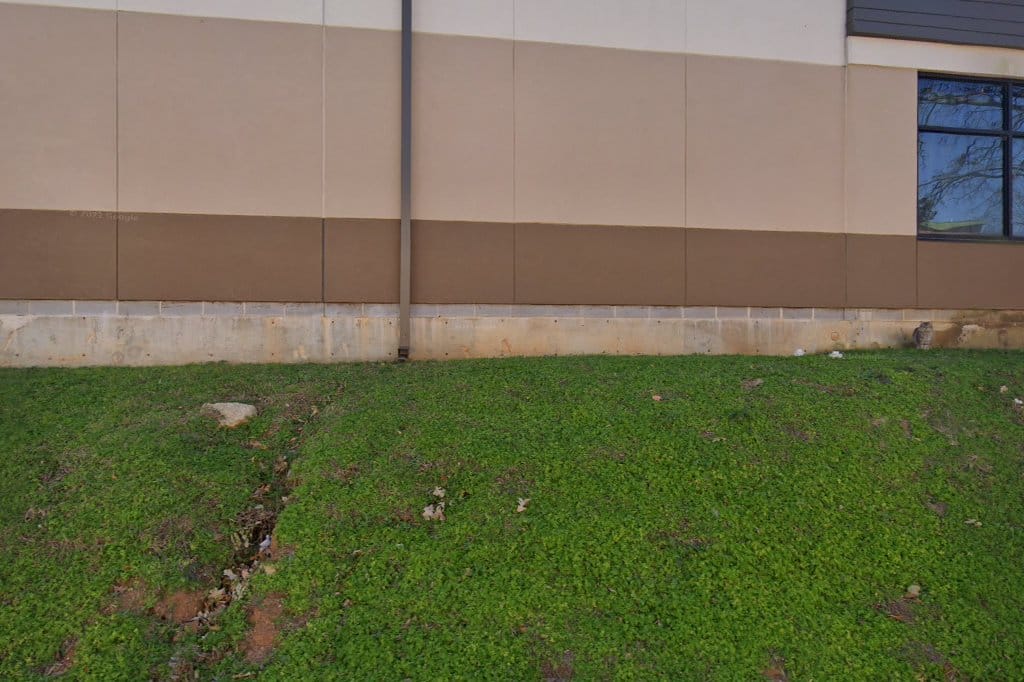 Fred Moore High School