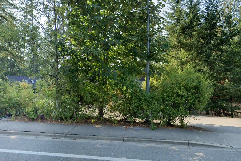 Issaquah Montessori