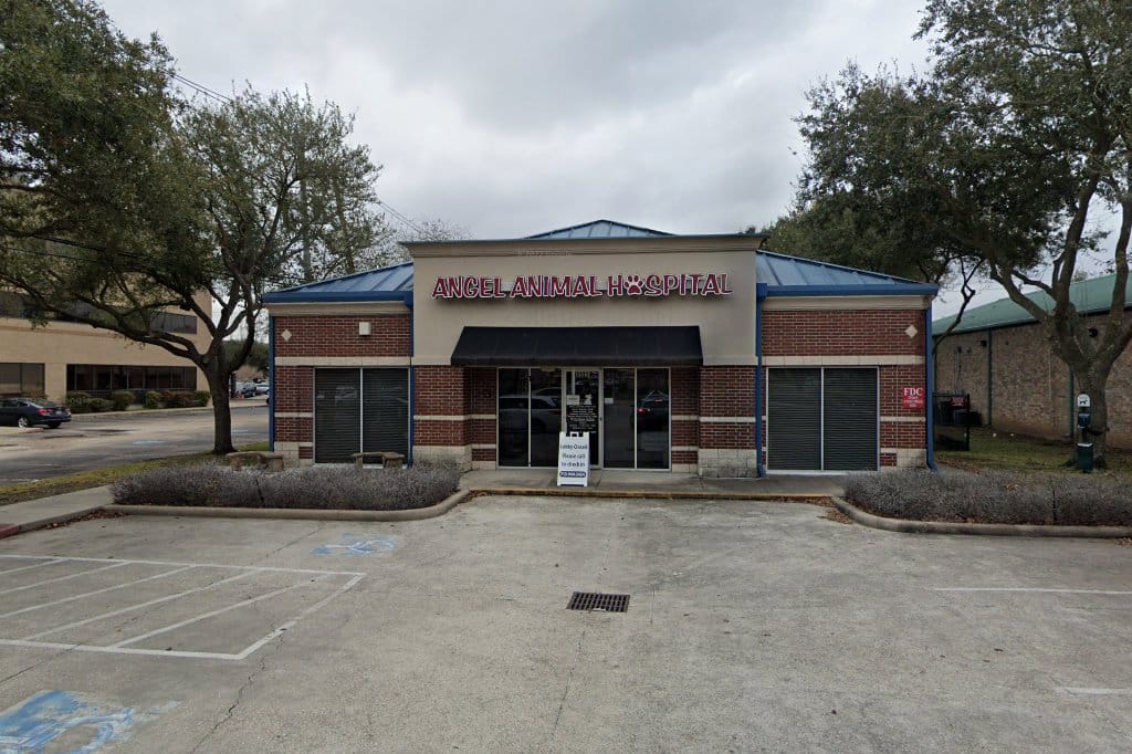 Angel Animal Hospital