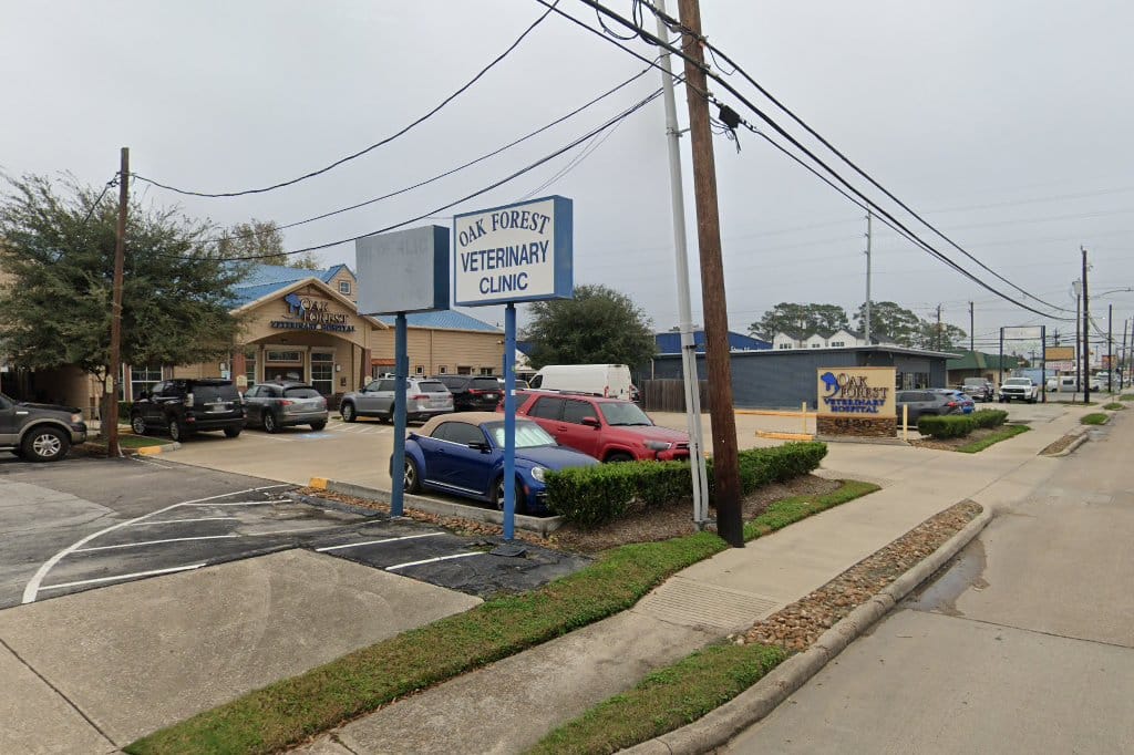 Animal Hospital in Houston, TX The County Office