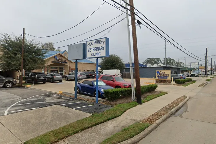 Oak Forest Veterinary Clinic