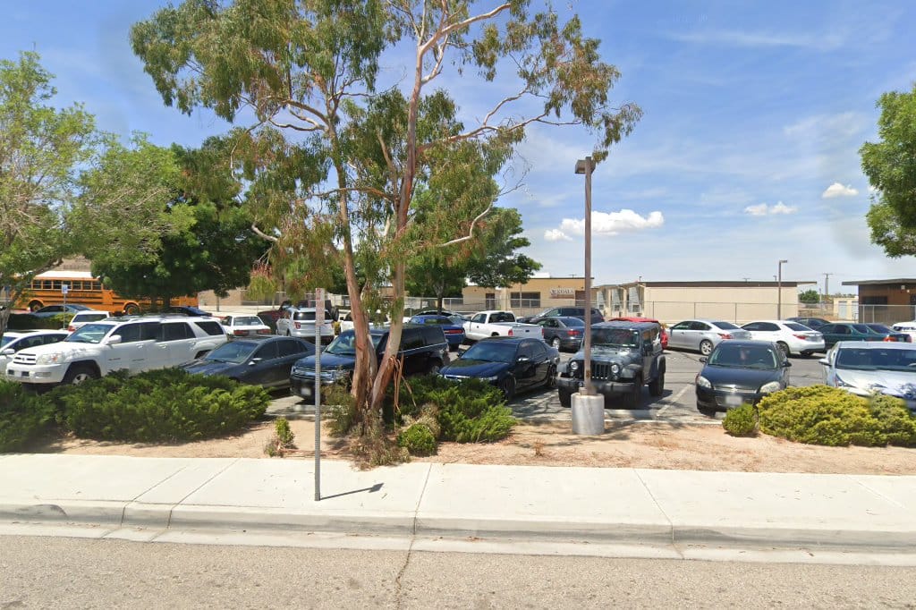 Eucalyptus School