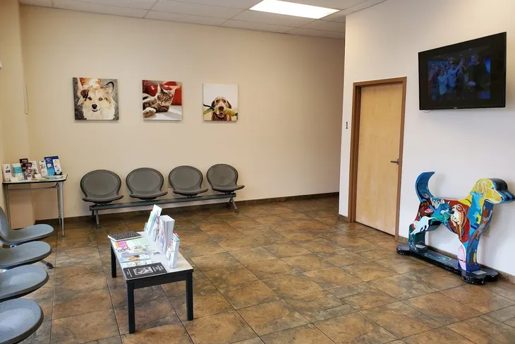 John Rolfe Animal Hospital
