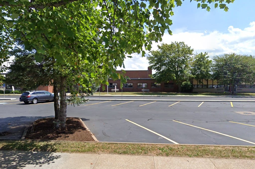 Furry Elementary