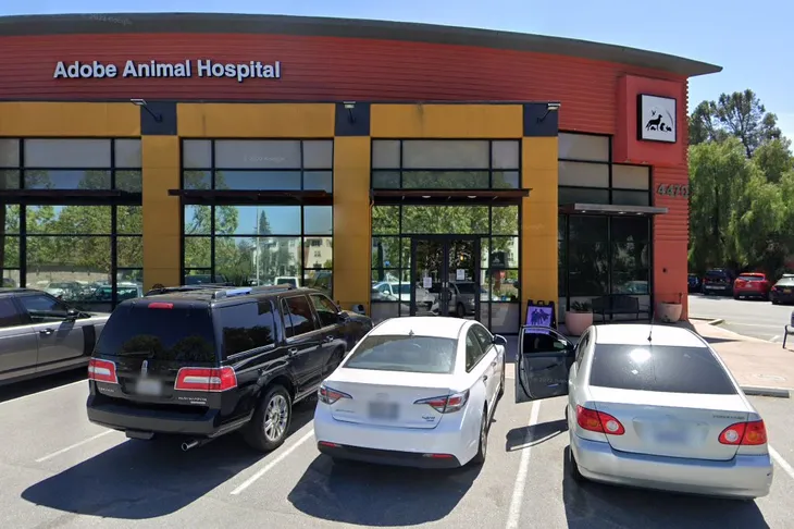 Adobe Animal Hospital