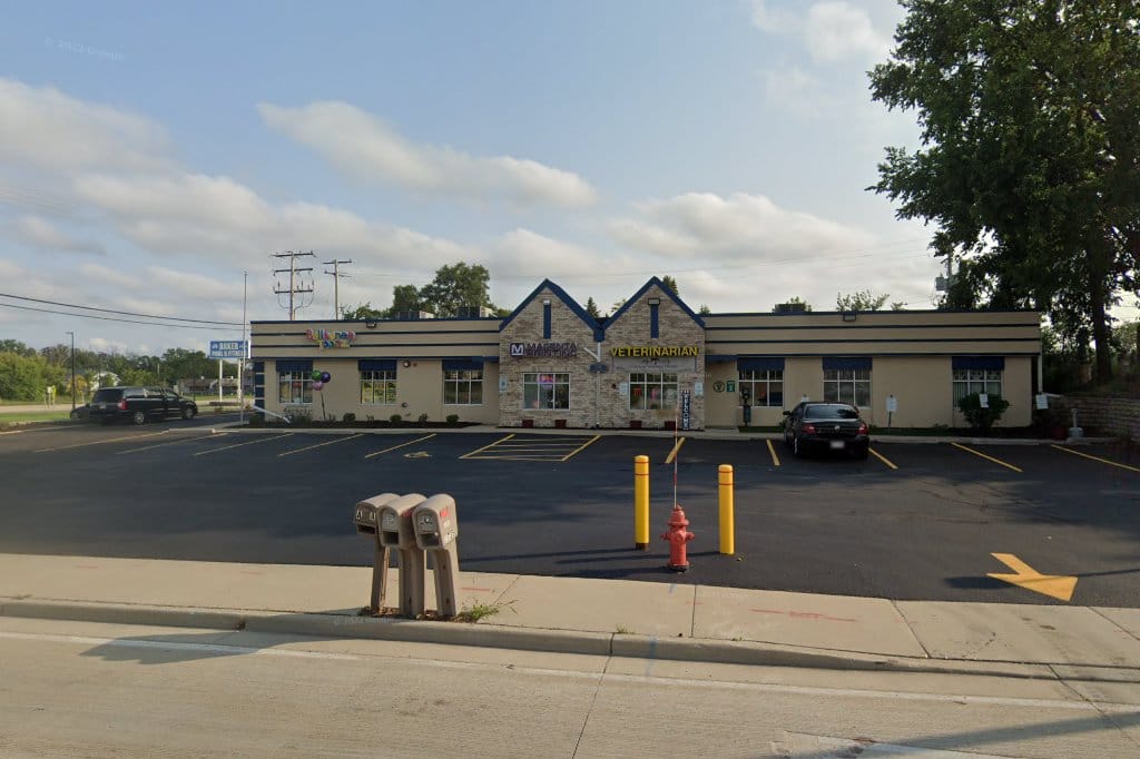 American Veterinary Clinic