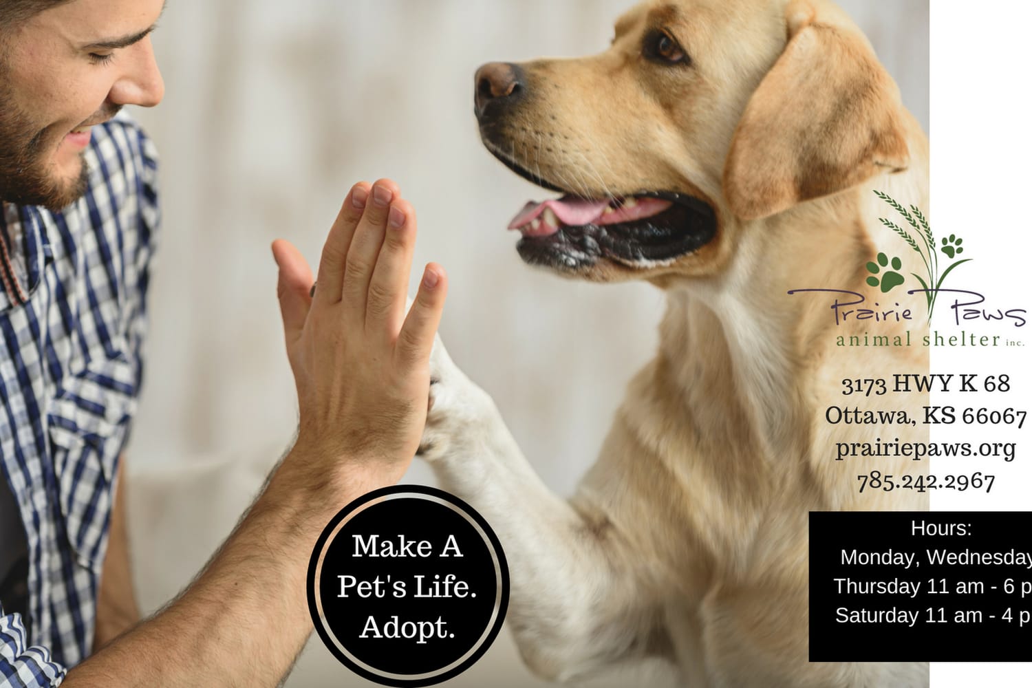 Prairie Paws Animal Shelter