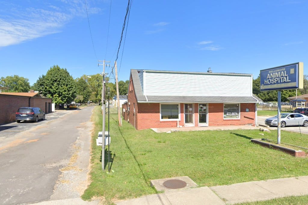 Bellemore Animal Hospital