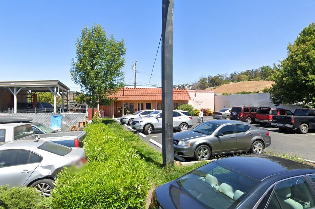 Caring Pet Hospital
