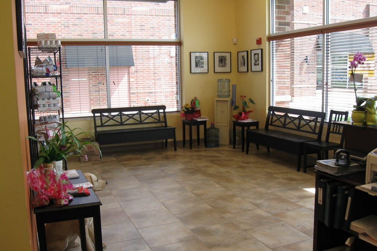 Lake Street Animal Hospital