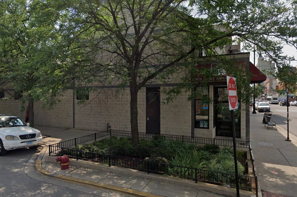 North Avenue Animal Hospital