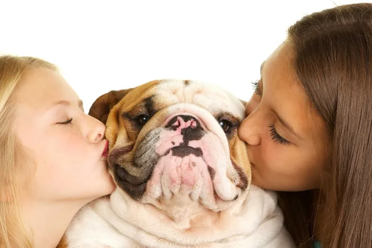 Rockwall Veterinary Hospital