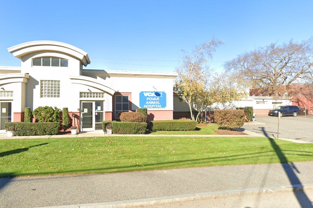 VCA Povar Animal Hospital