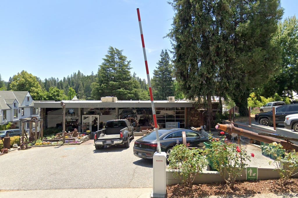 Forest Charter School