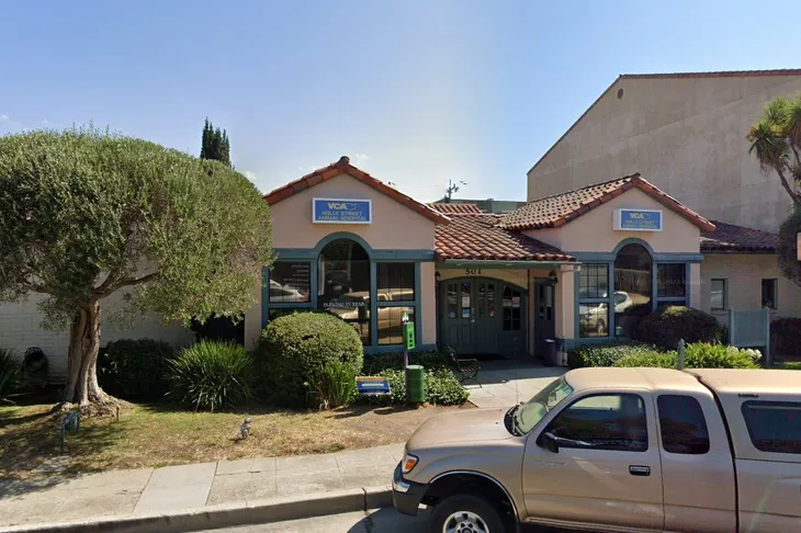 Holly Street Animal Hospital