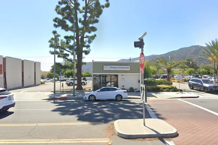Montrose Pet Hospital