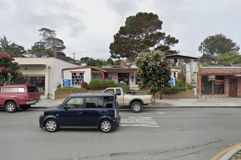 Ocean View Veterinary Hospital
