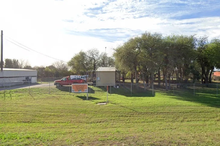 Alice City Animal Control