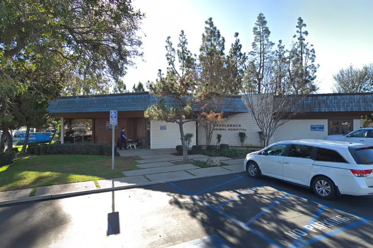 Saddleback Animal Hospital