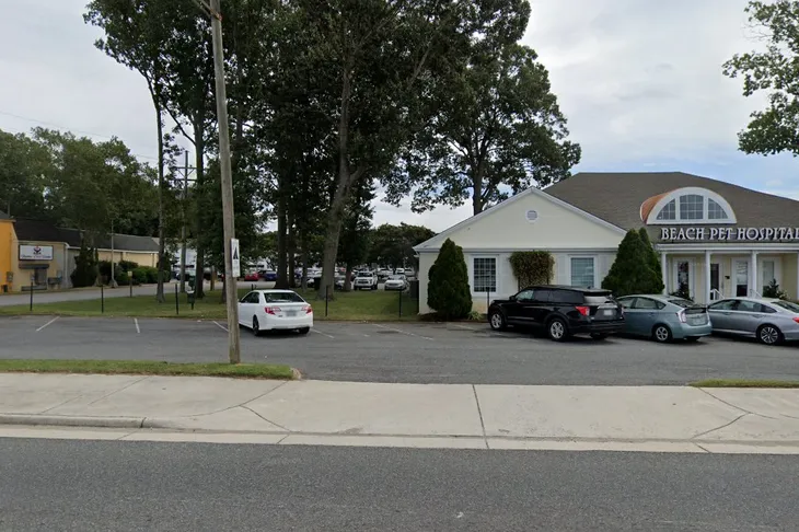 Beach Pet Hospital