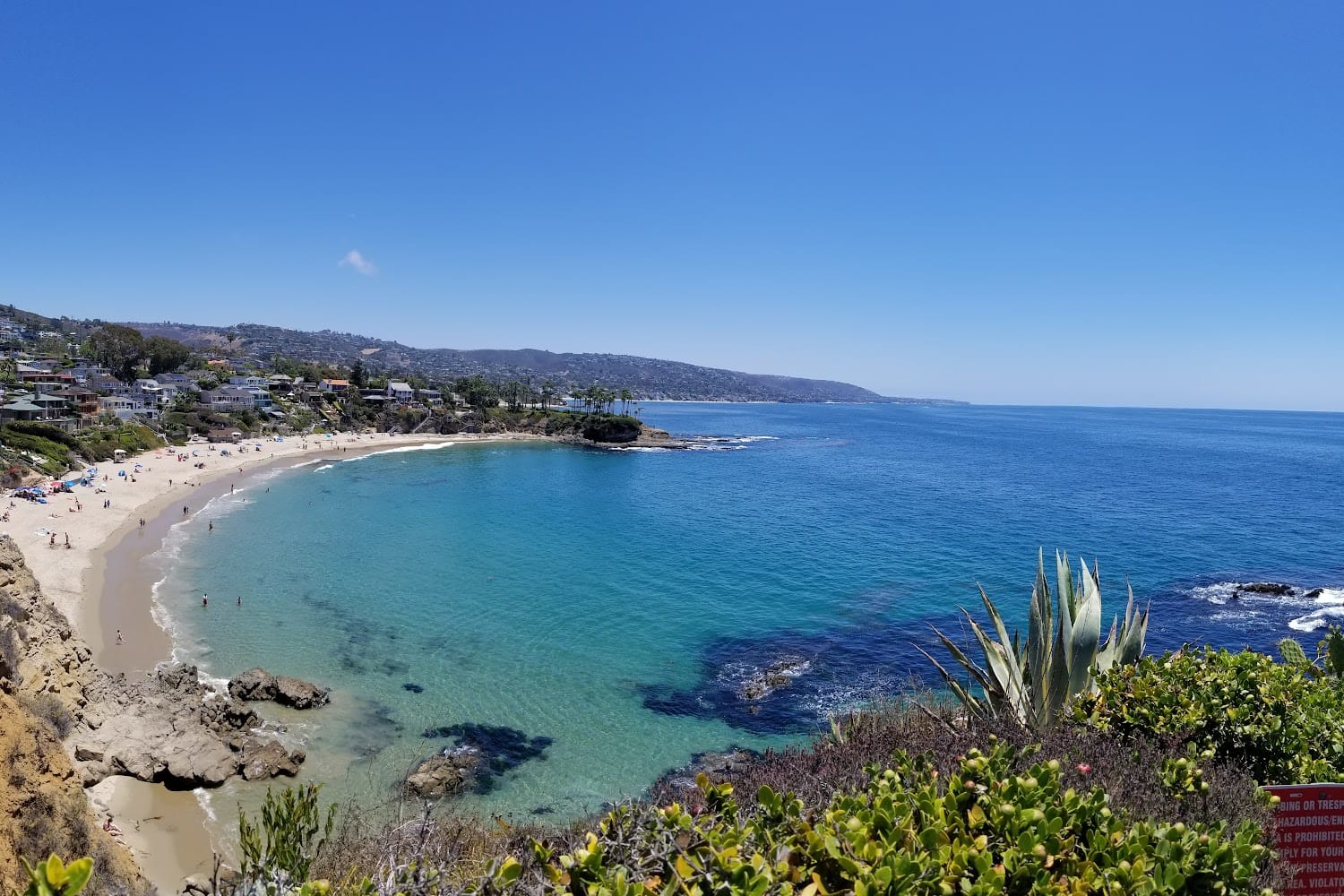 Aliso Niguel Animal Hospital