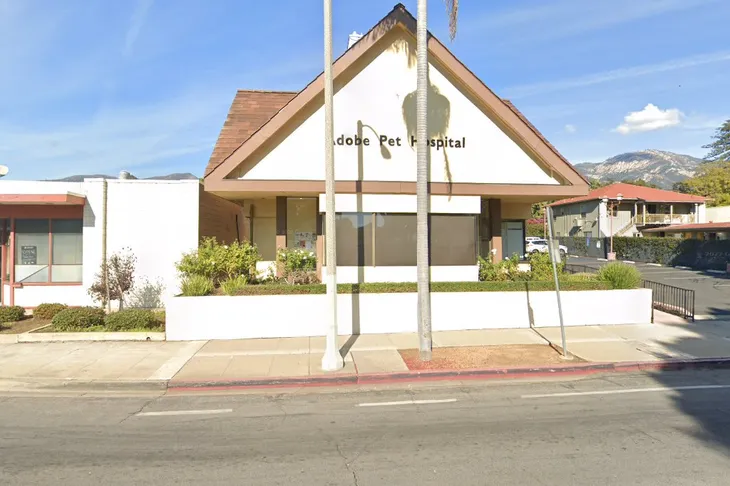 Adobe Pet Hospital