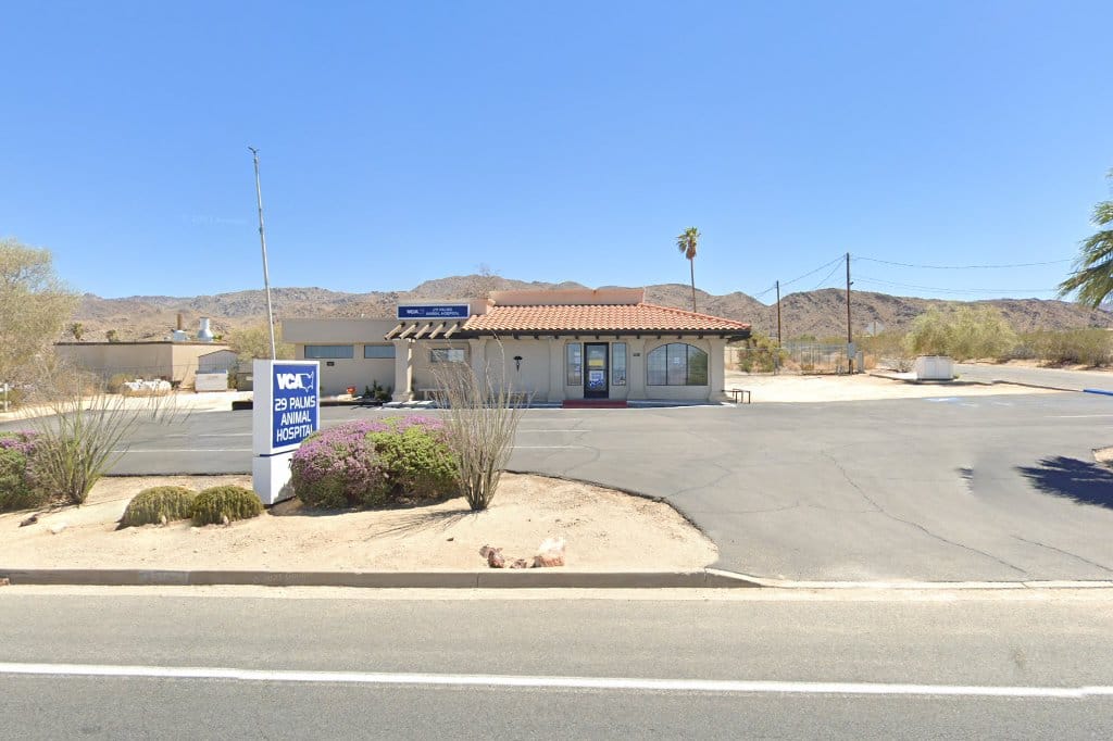 High Desert Animal Hospital