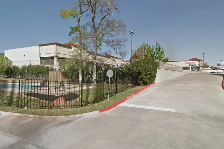 Vista Veterinary Hospital & Wellness Center