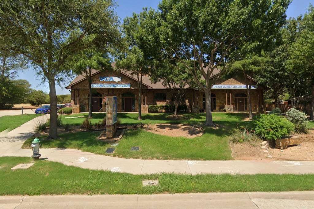 VCA Angel Animal Hospital