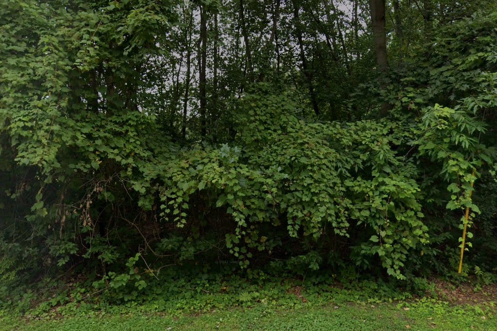 Sylvan Beach Village Court